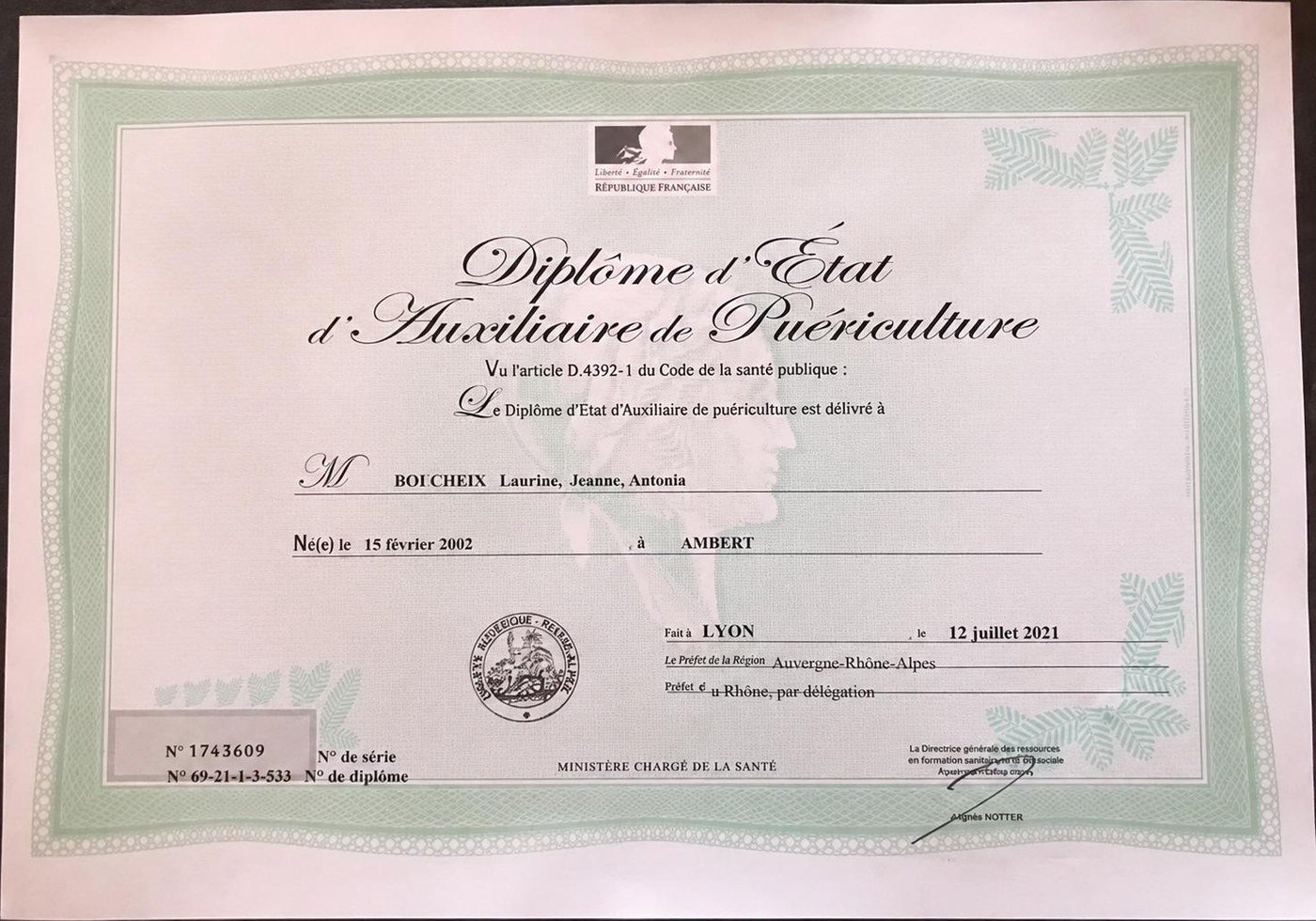 Diplôme d'État d'Auxiliaire de Puériculture